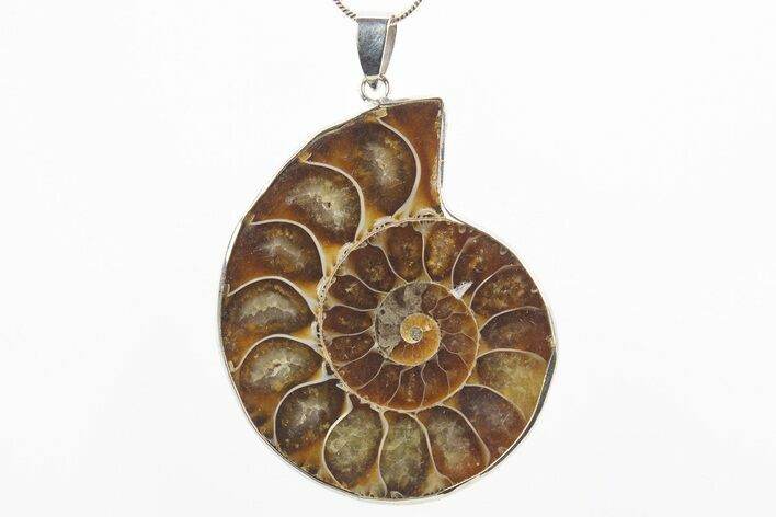 Fossil Ammonite Pendant - Million Years Old #306473